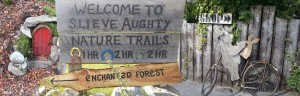 Enchanted Forests and Fairy Houses at The Three Towers, Slieve Aughty, Galway