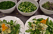 Vegan Organic Salad