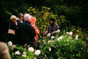 OPen Day at Bumblebee Flower Farm