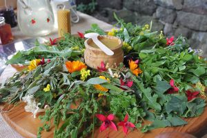 Irelands Ancient Feast Eco Active Social