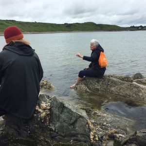 Seaweed Foraging Ireland