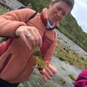 Seaweed Foraging Ireland Eco Active Social