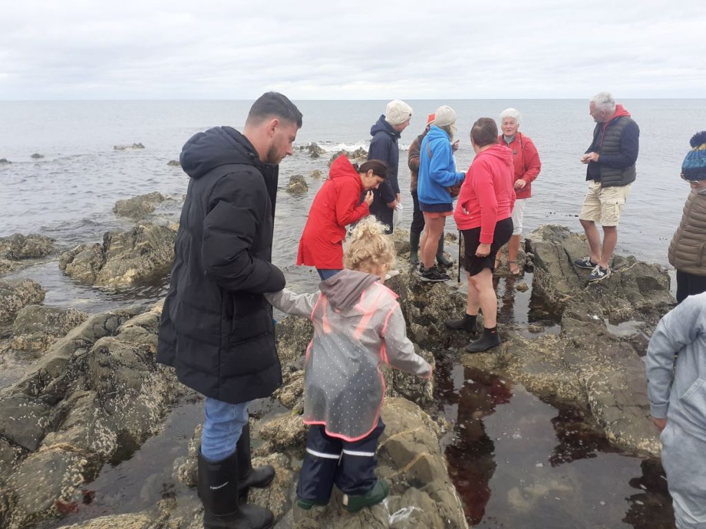Seaweed Foraging Ireland With Eco Active Social 