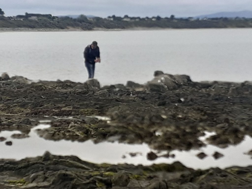 Seaweed Foraging Ireland With Eco Active Social 