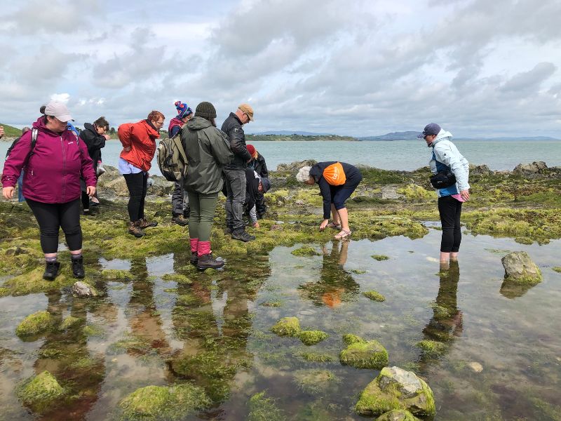 Seaweed Foraging Ireland with Eco Active and The Sea Gardener