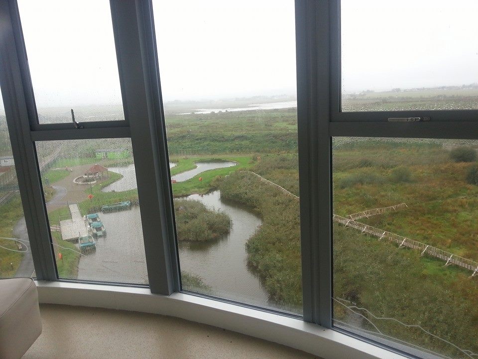 Tralee Bay Wetlands Co Kerry Eco Tour2014 with EcoActive Social Roz Kelly