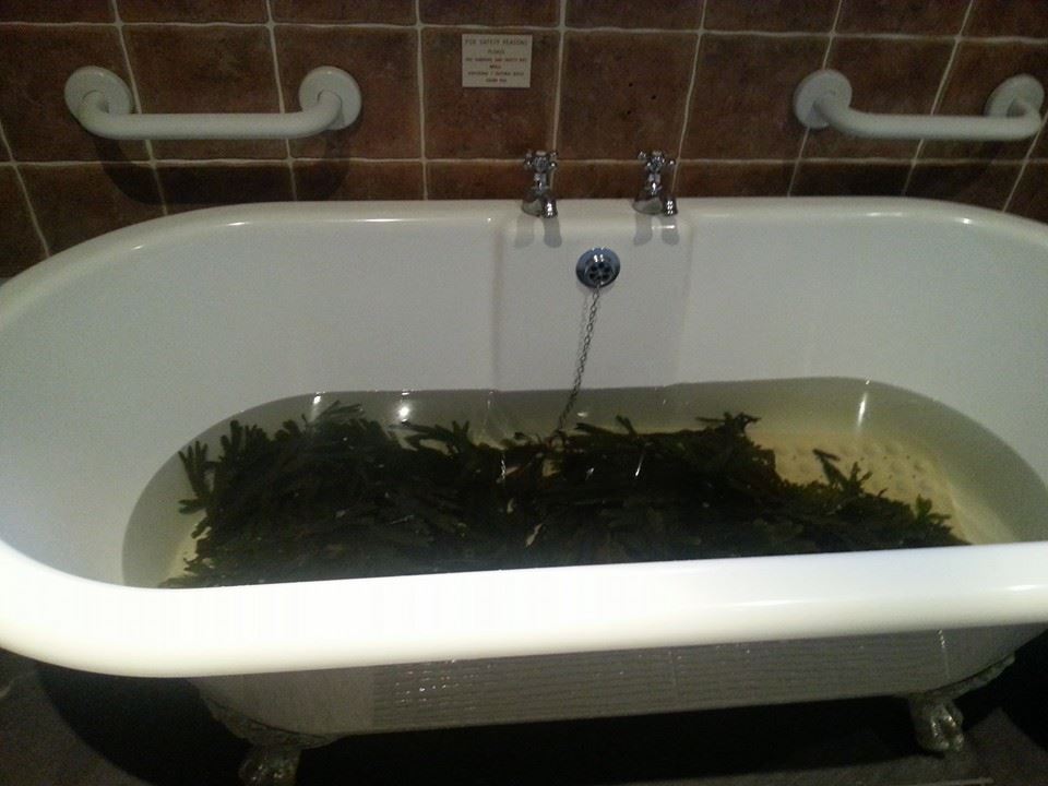 Voya Seaweed baths Sligo - Eco Tour Ireland with Roz Kelly EcoActiveSocial