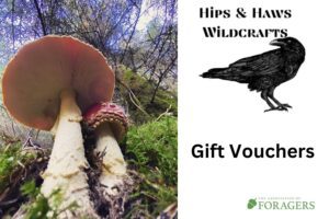 Hips and Haws Wildcraft Gift Vouchers