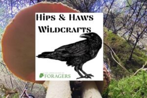 Hips and Haws Wildcrafts