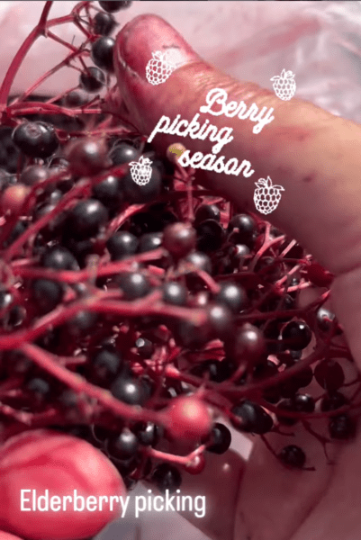 Linda loves elderberries